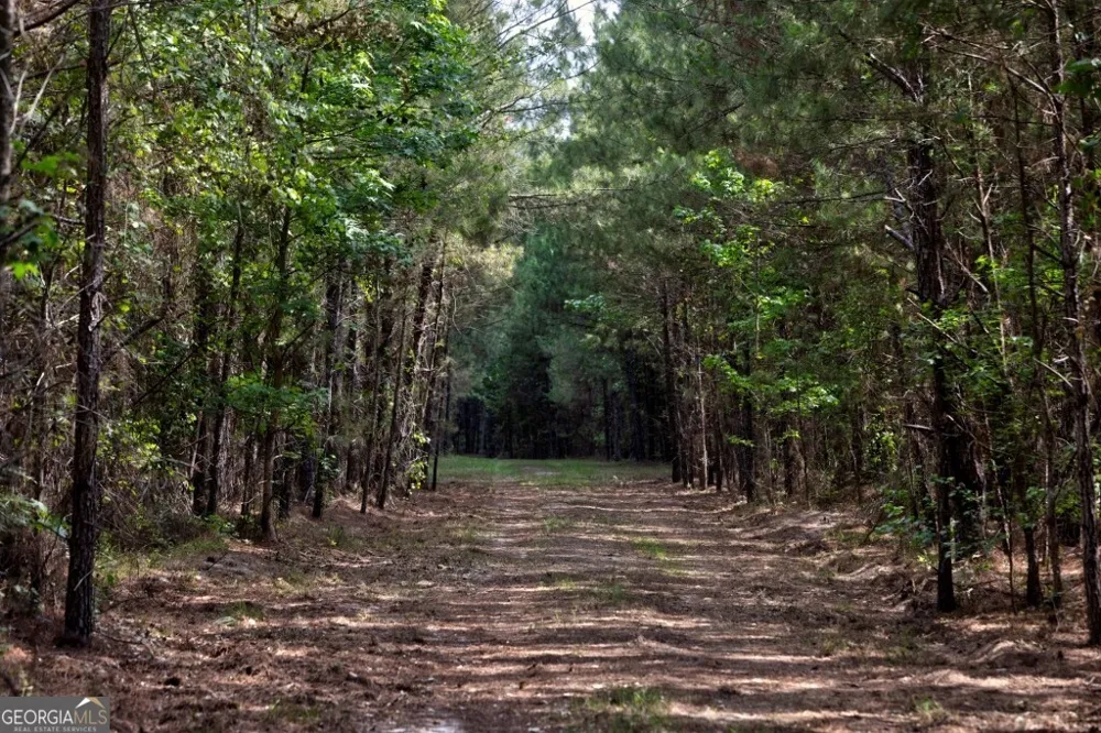 0 Highway 204 & Carlos Cowart RD Pembroke, GA 31321