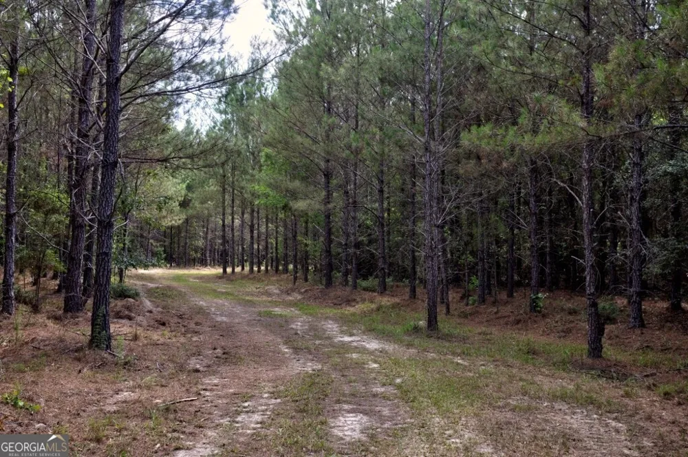 0 Highway 204 & Carlos Cowart RD Pembroke, GA 31321