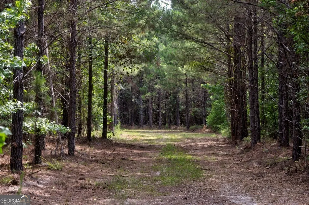 0 Highway 204 & Carlos Cowart RD Pembroke, GA 31321