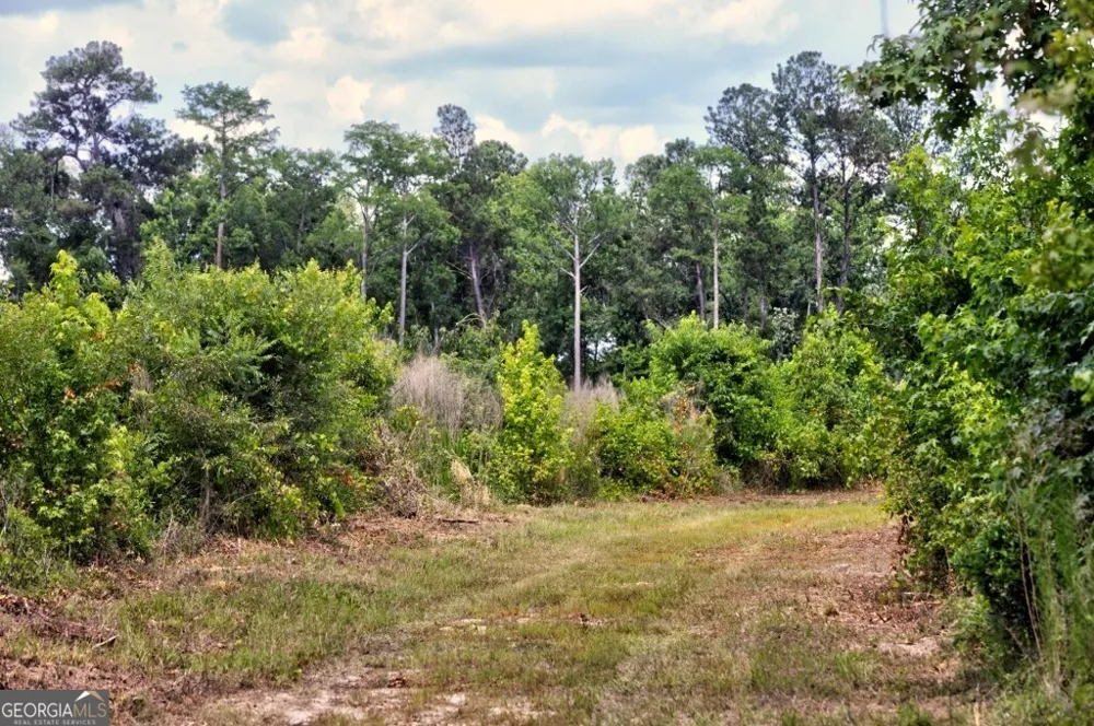 0 Highway 204 & Carlos Cowart RD Pembroke, GA 31321