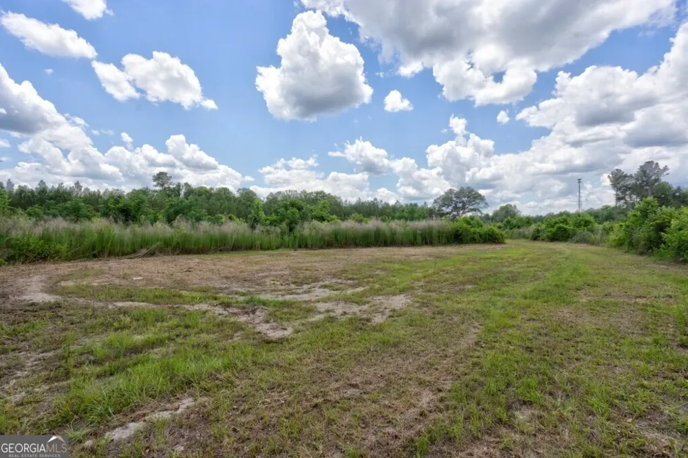 0 Highway 204 & Carlos Cowart RD Pembroke, GA 31321