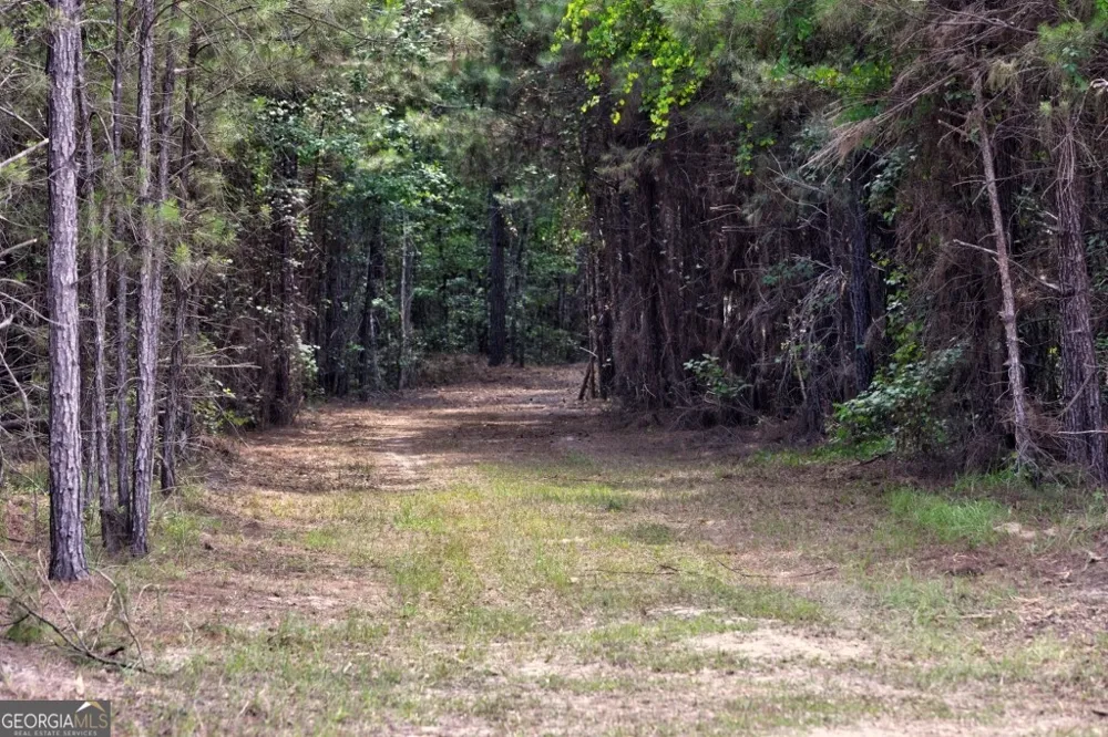 0 Highway 204 & Carlos Cowart RD Pembroke, GA 31321