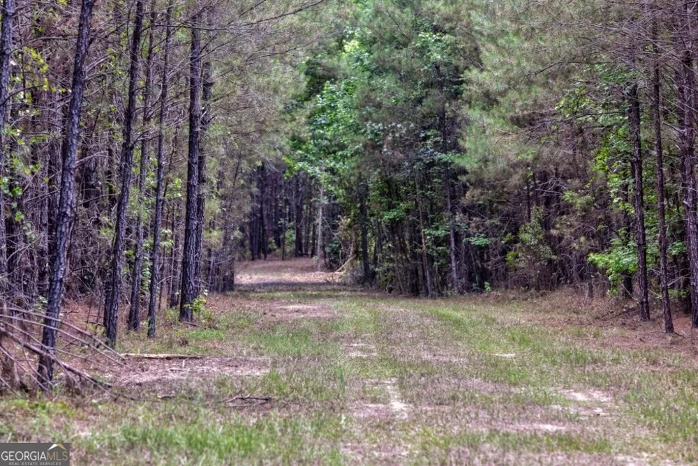 0 Highway 204 & Carlos Cowart RD Pembroke, GA 31321