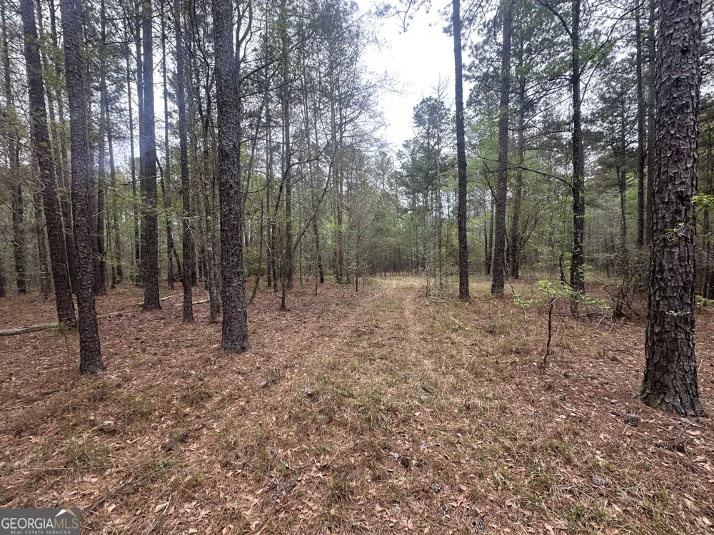 0 Fred Chance RD Perkins, GA 30442
