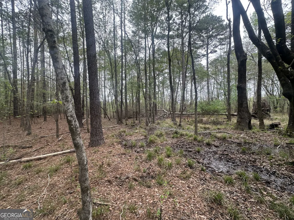 0 Fred Chance RD Perkins, GA 30442