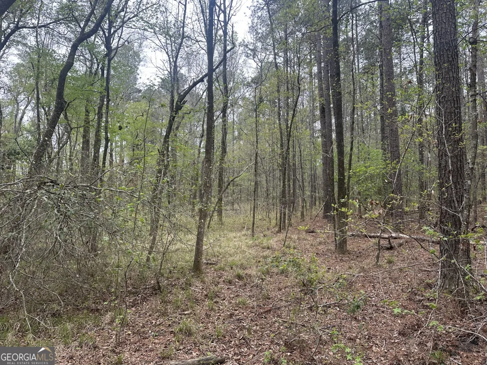0 Fred Chance RD Perkins, GA 30442