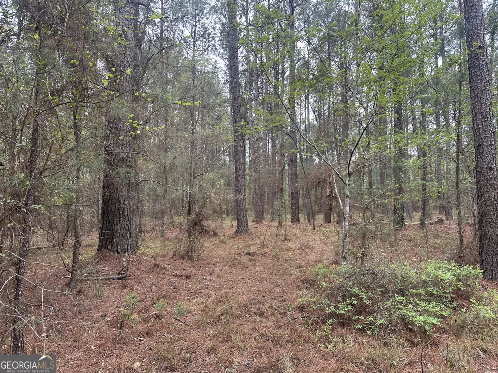 0 Fred Chance RD Perkins, GA 30442