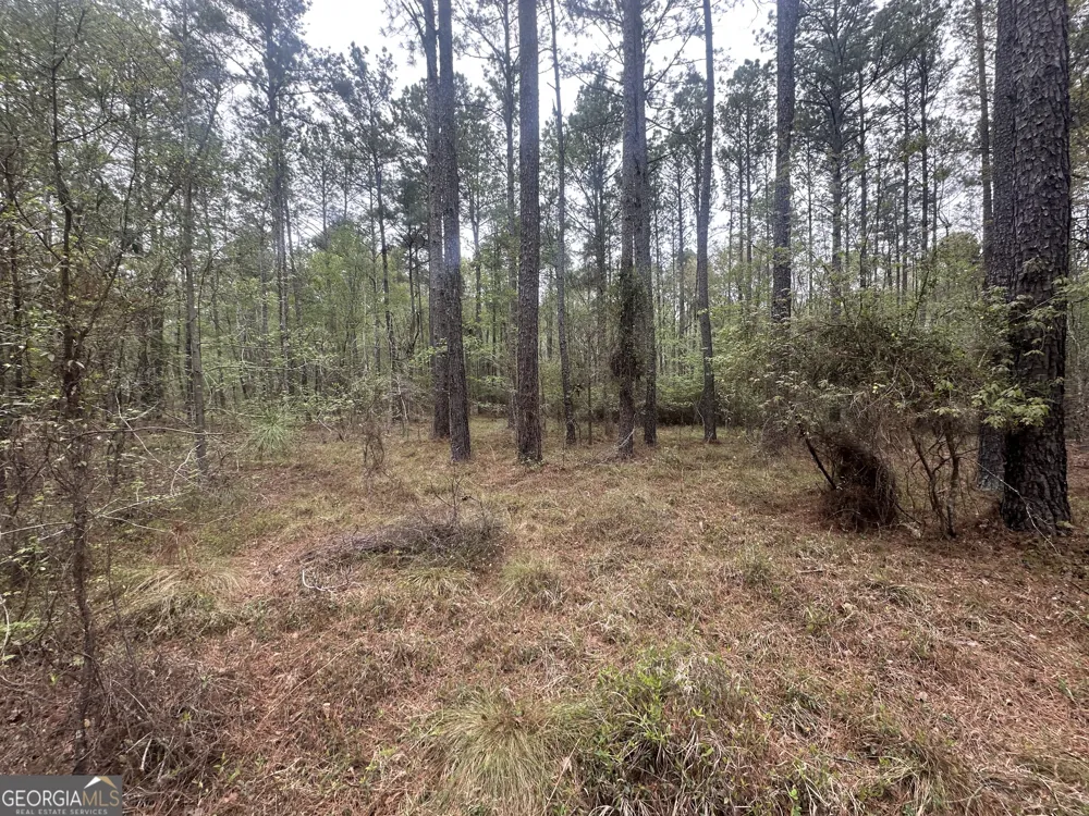 0 Fred Chance RD Perkins, GA 30442