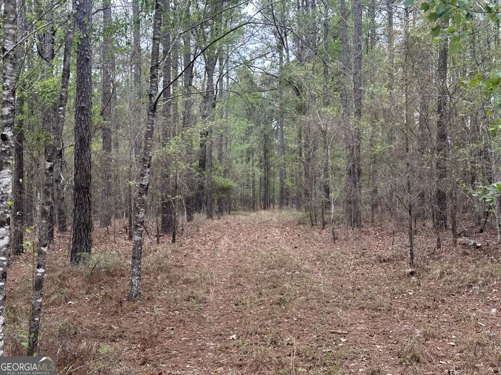 0 Fred Chance RD Perkins, GA 30442