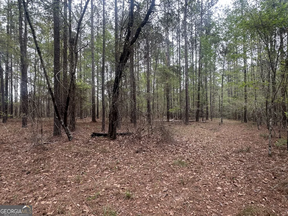 0 Fred Chance RD Perkins, GA 30442