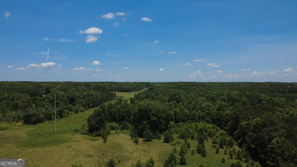 676 Linch RD Senoia, GA 30276