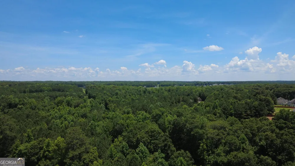 676 Linch RD Senoia, GA 30276