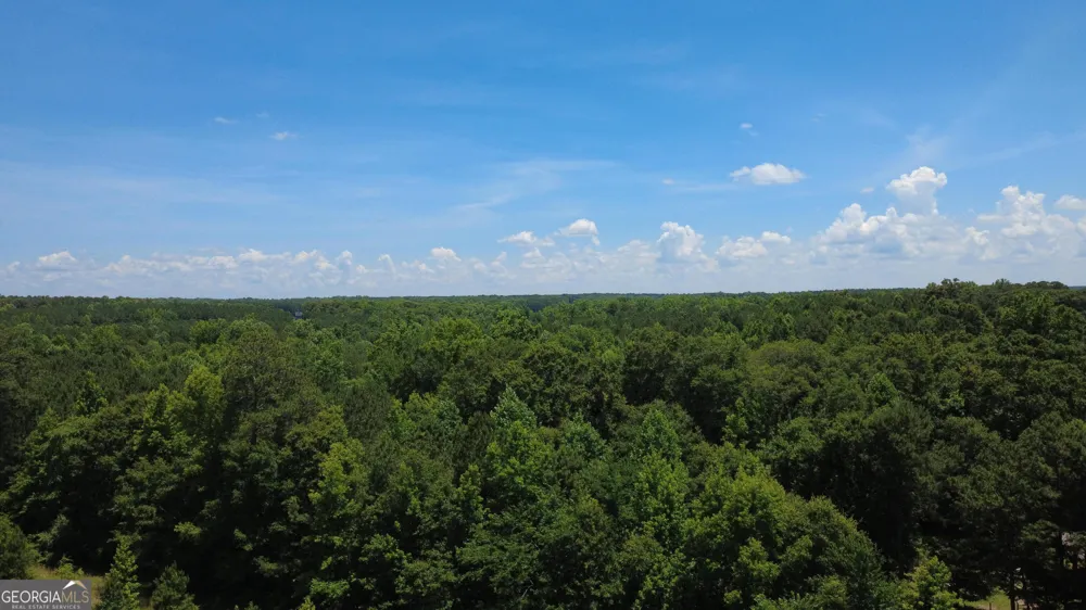 676 Linch RD Senoia, GA 30276