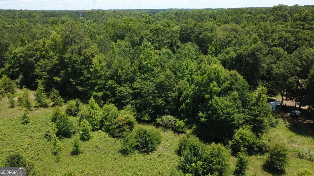 676 Linch RD Senoia, GA 30276