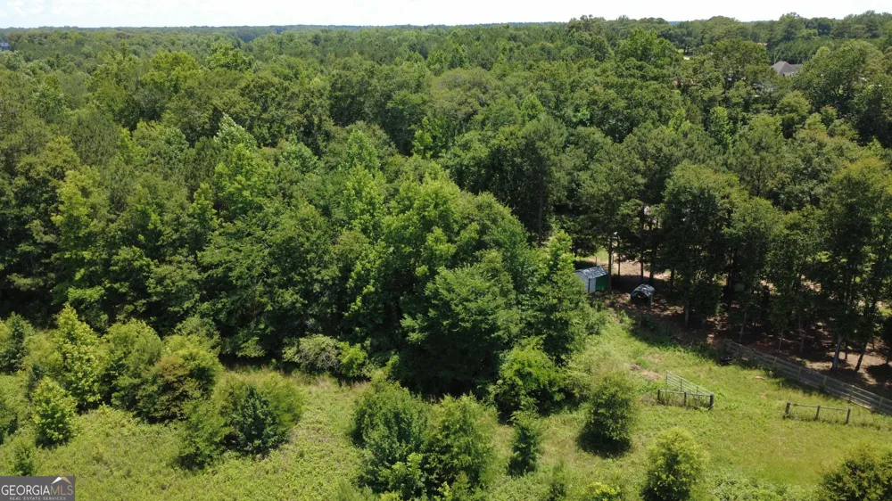 676 Linch RD Senoia, GA 30276