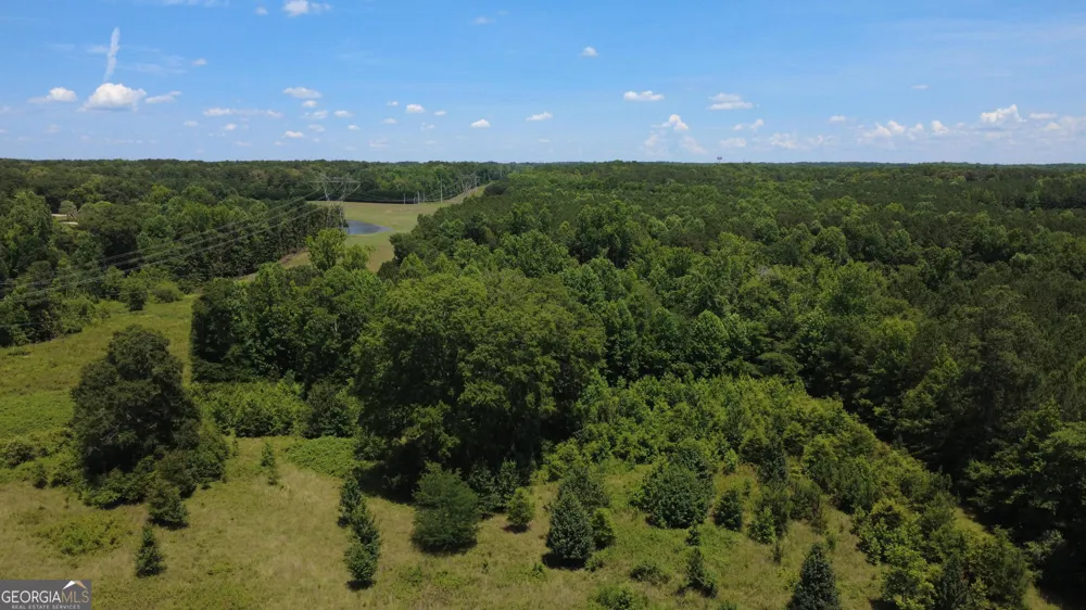 676 Linch RD Senoia, GA 30276