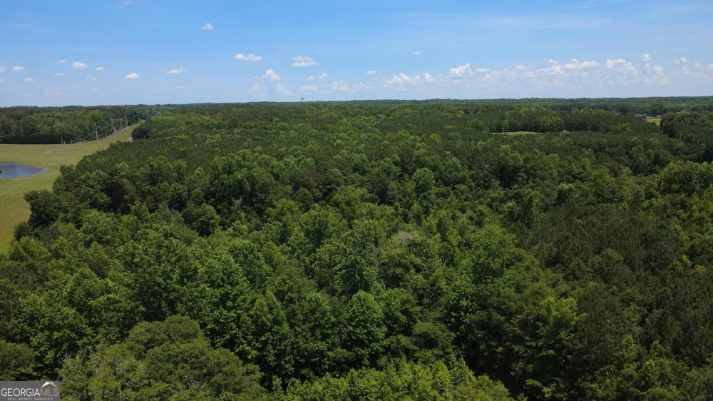 676 Linch RD Senoia, GA 30276