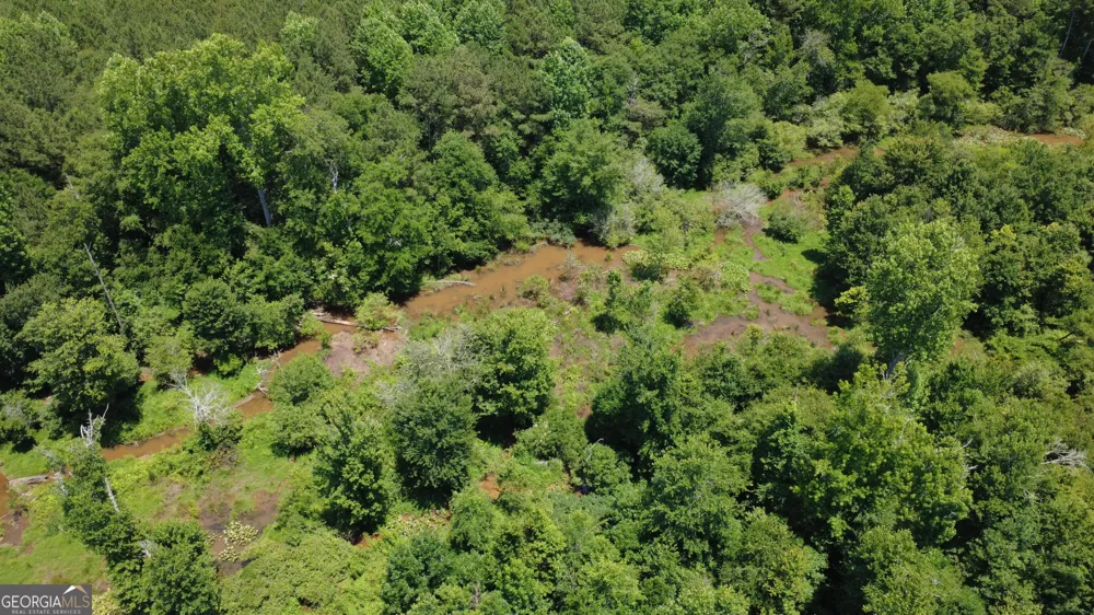 676 Linch RD Senoia, GA 30276