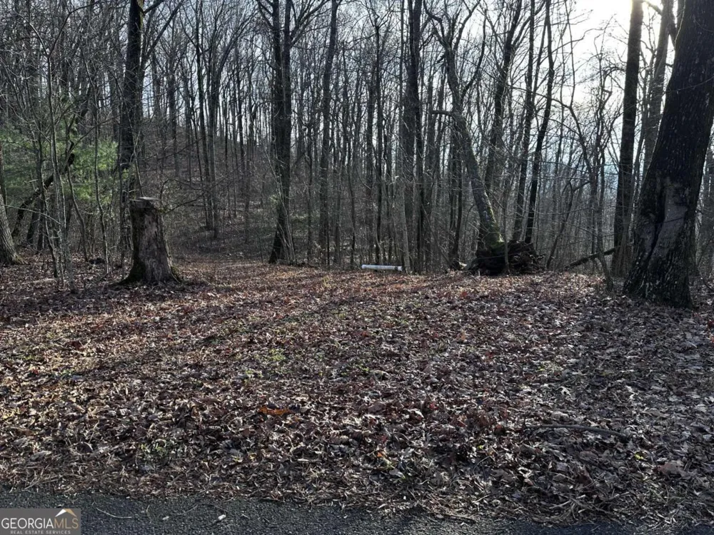 32 Andes RDG Jasper, GA 30143