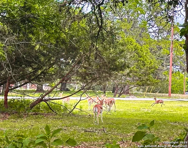 LOT 12 Brown Saddle Bandera, TX 78003