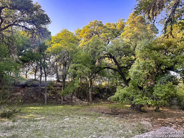 LOT 12 Brown Saddle Bandera, TX 78003