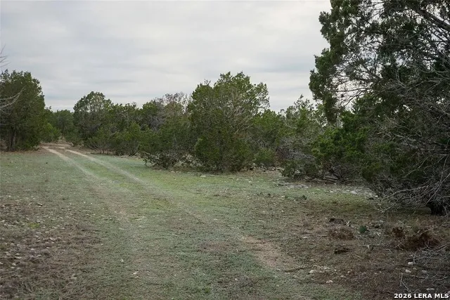 1450 Primrose Kerrville, TX 78028