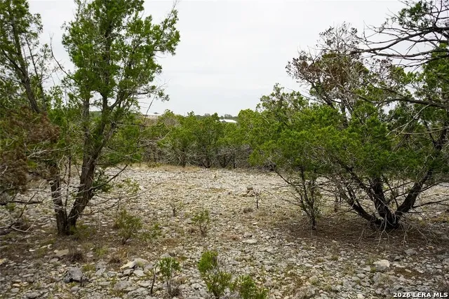 1450 Primrose Kerrville, TX 78028