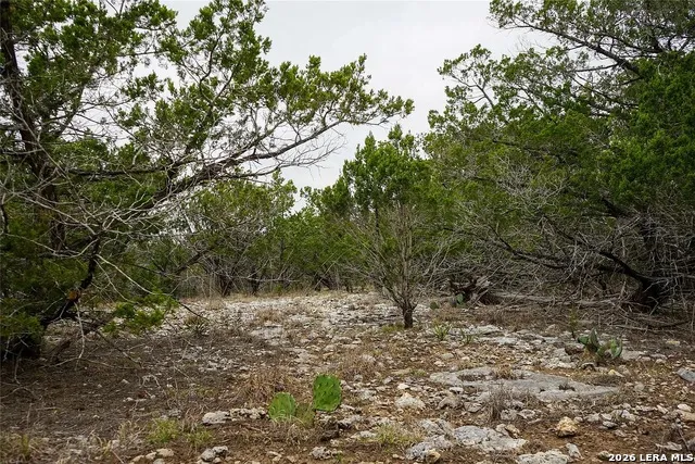 1450 Primrose Kerrville, TX 78028