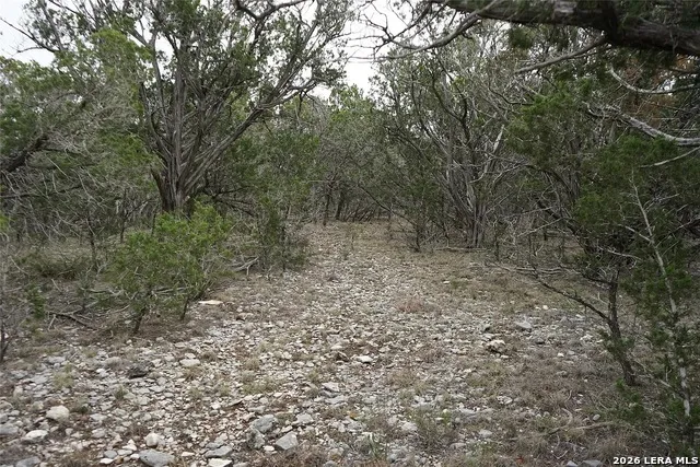 1450 Primrose Kerrville, TX 78028