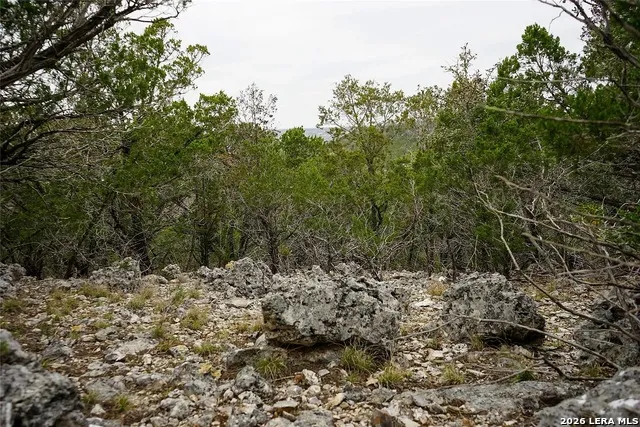 1450 Primrose Kerrville, TX 78028