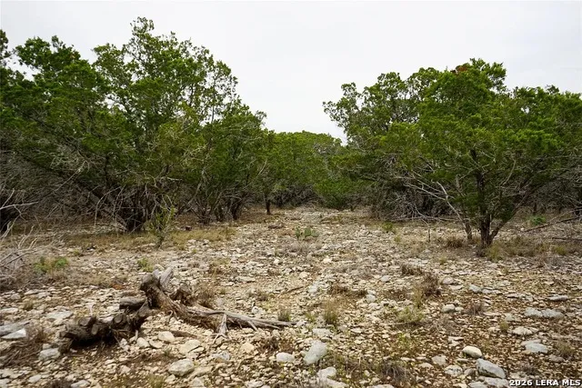 1450 Primrose Kerrville, TX 78028