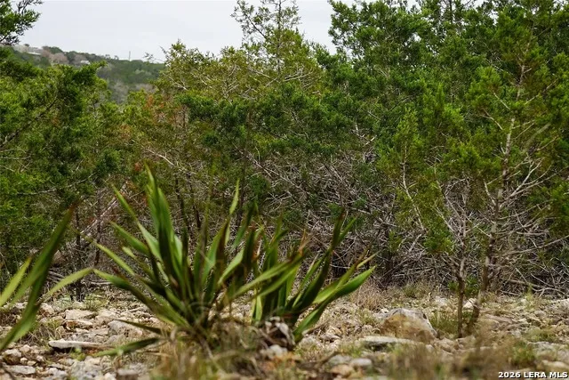 1450 Primrose Kerrville, TX 78028