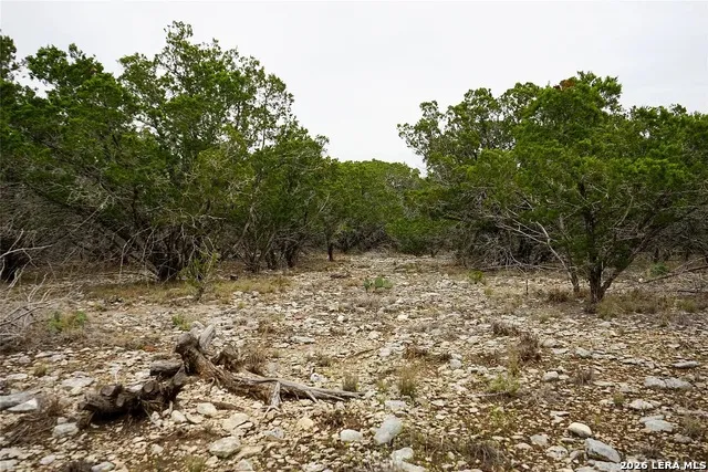 1450 Primrose Kerrville, TX 78028
