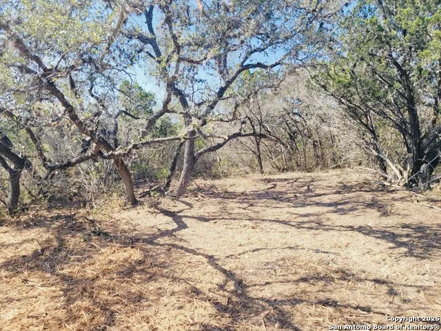 0 Cr 408 Uvalde, TX 78801