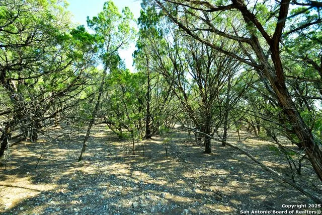 000 W Private Road 1708 Mico, TX 78056