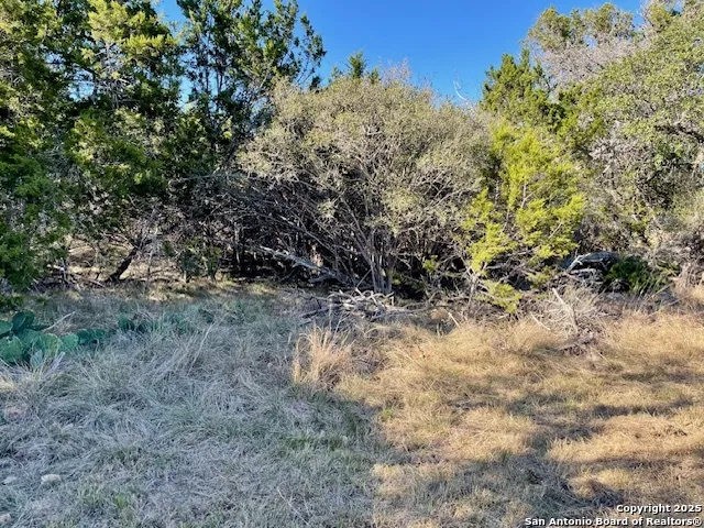 LOT 85 PR 1518 Bandera, TX 78003