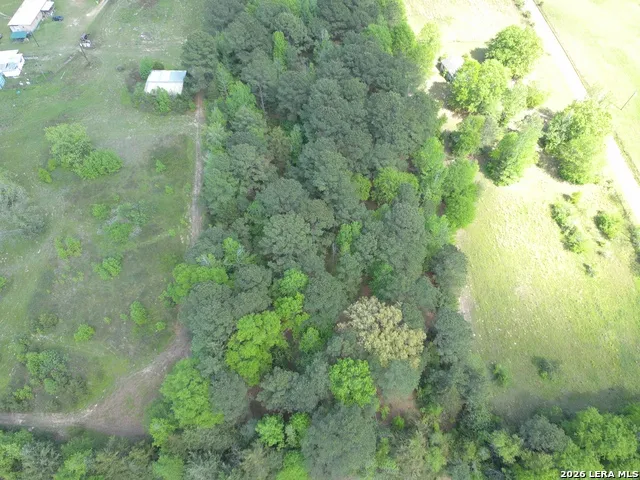 0 County Road 2228 Douglassville, TX 75560