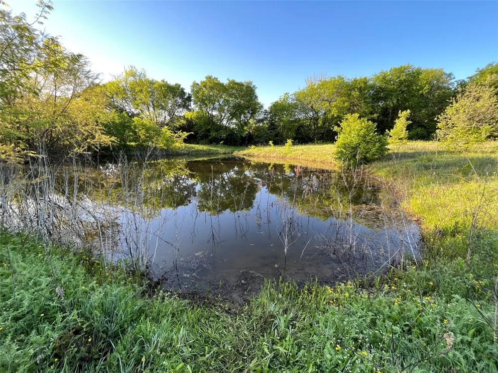 Block Road Gunter, TX 75058
