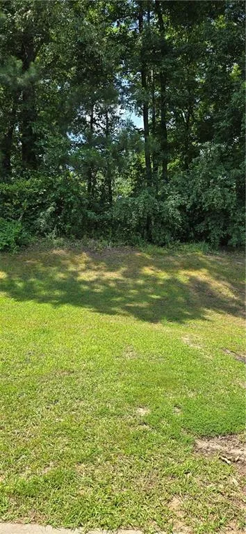 1314 Hollenbeck Lane Riverdale, GA 30296