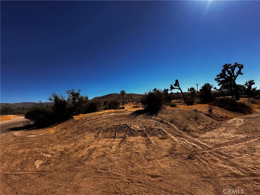 Campero Drive Yucca Valley, CA 92284