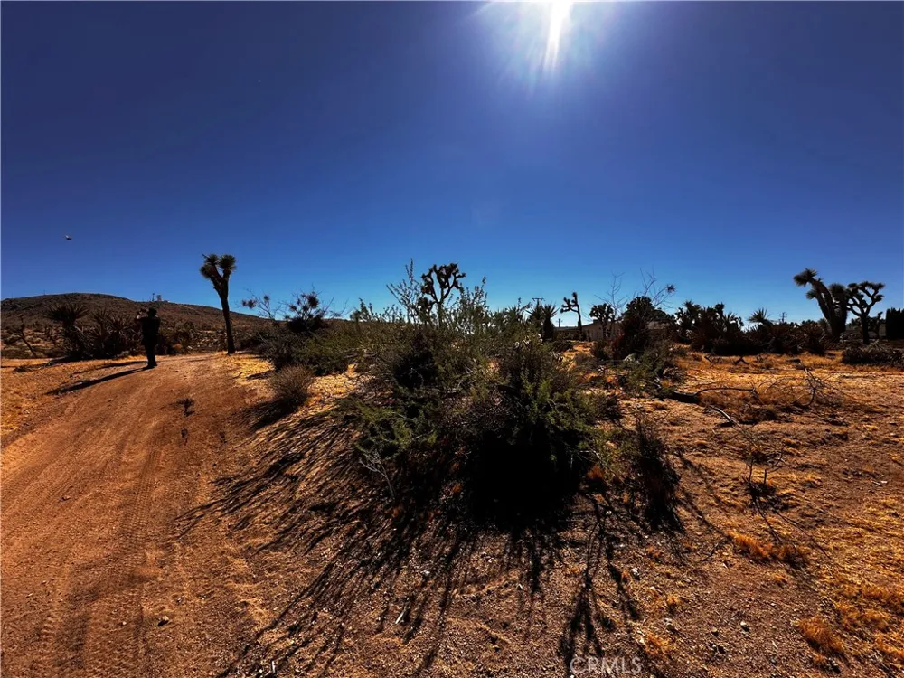 Campero Drive Yucca Valley, CA 92284