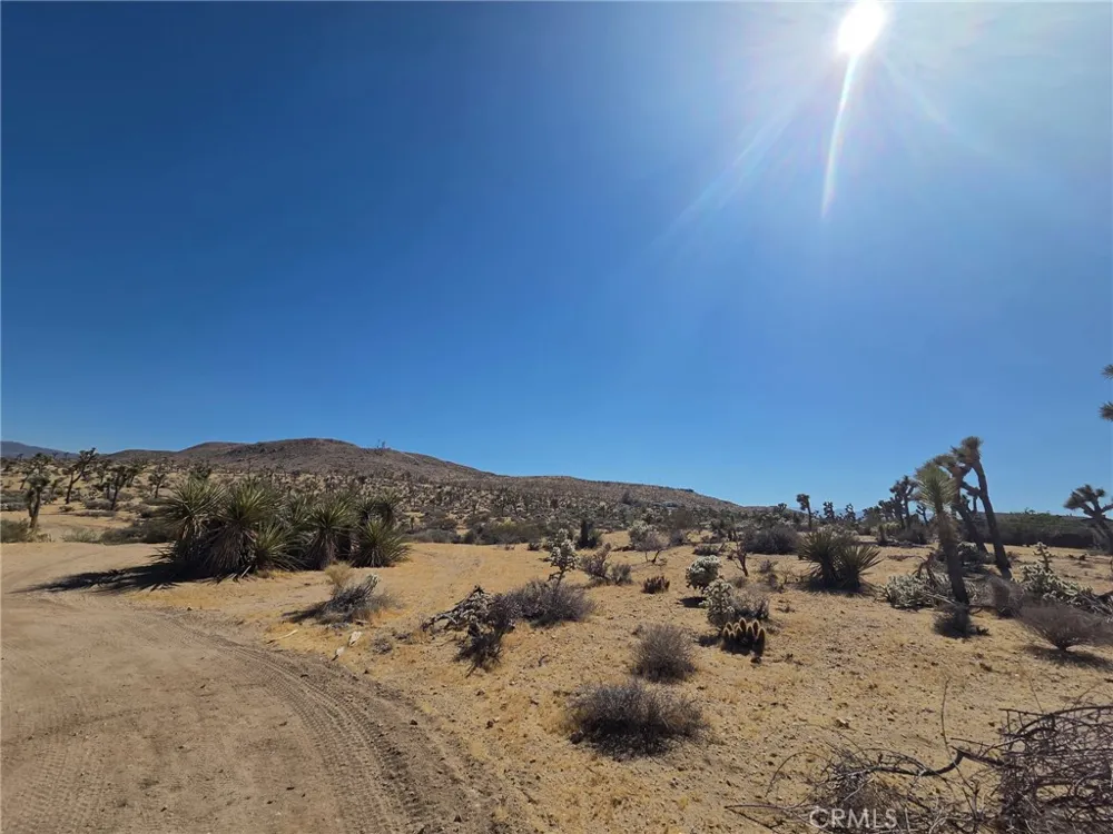 Campero Drive Yucca Valley, CA 92284