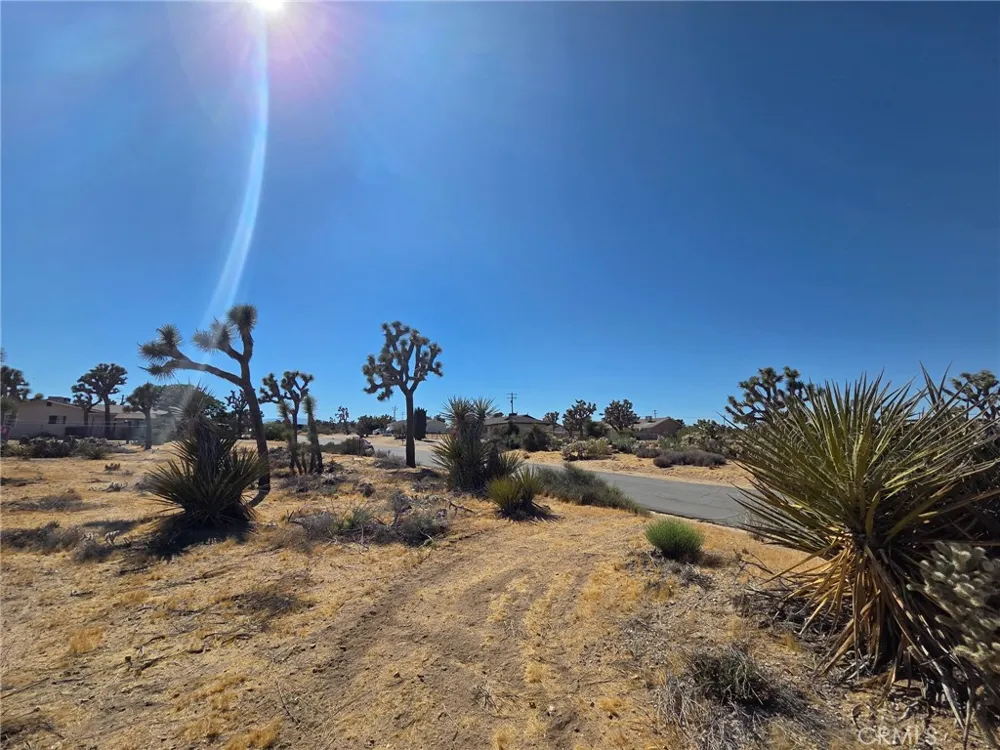 Campero Drive Yucca Valley, CA 92284