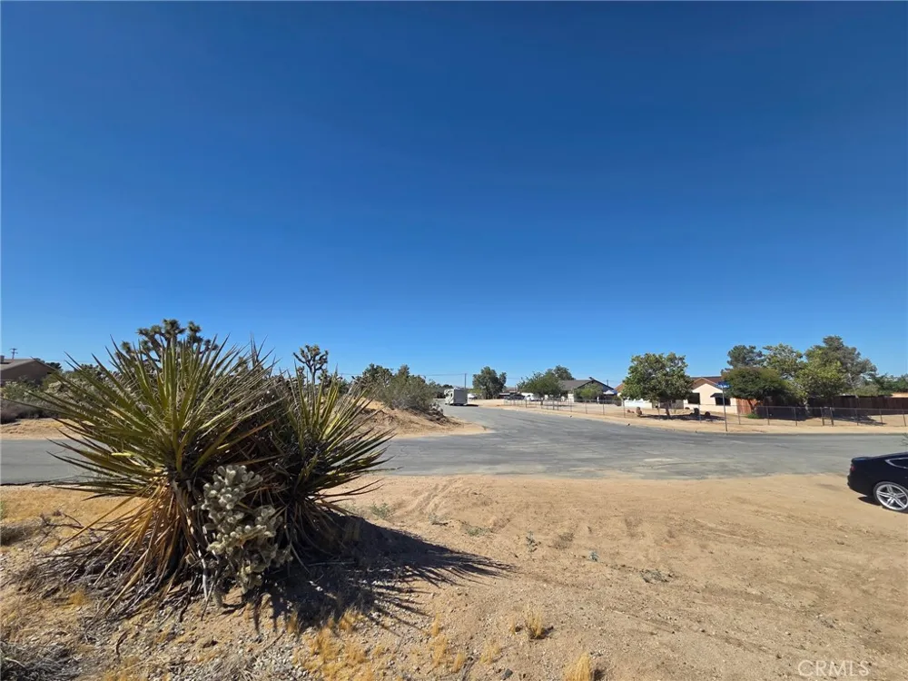 Campero Drive Yucca Valley, CA 92284