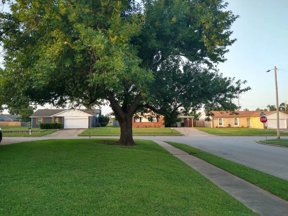 4919 Nassau Avenue Sand Springs, OK 74063