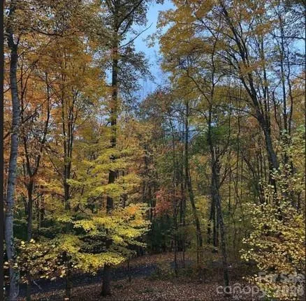 49 Brandywine Road Waynesville, NC 28786