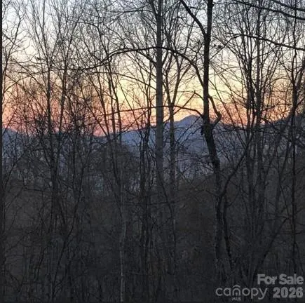 49 Brandywine Road Waynesville, NC 28786