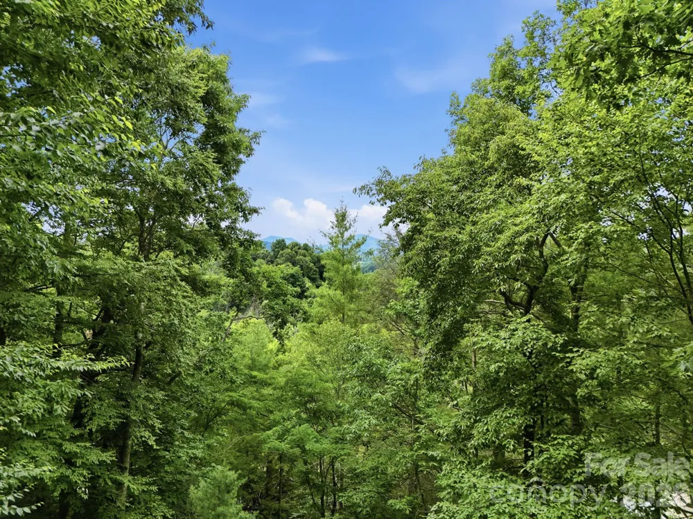 176 Ravens View Boone, NC 28607