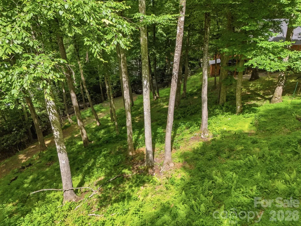 176 Ravens View Boone, NC 28607