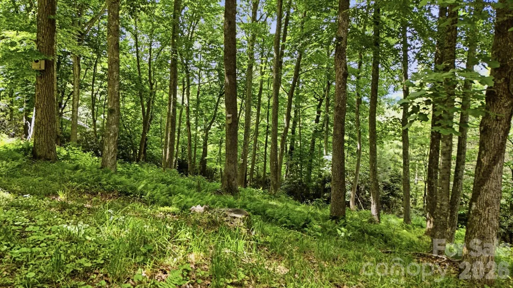 176 Ravens View Boone, NC 28607